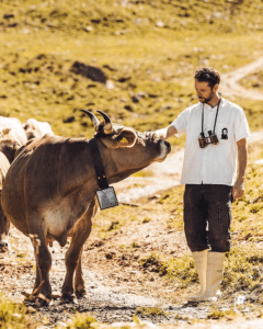 Alpahirt mit Kuh auf der Weide