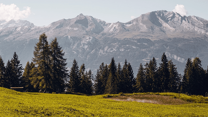 Bergaussicht von einer Alp mit kleinem Moorweiherd davor und tiefgrünen Tannen